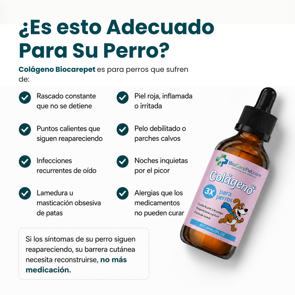 Colágeno Líquido Premium
