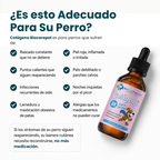 Colágeno Líquido Premium