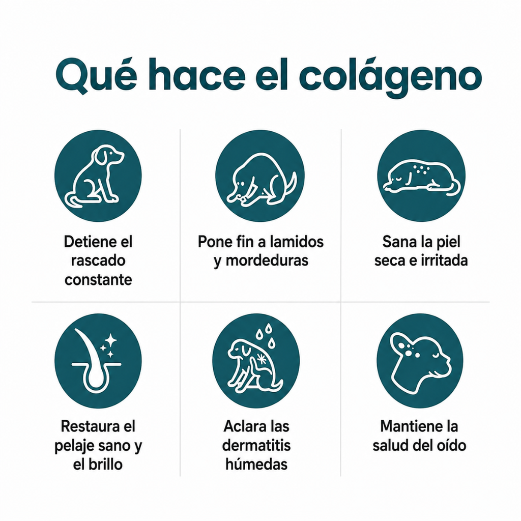 Colágeno Líquido Premium