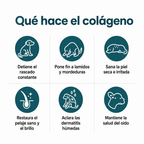 Colágeno Líquido Premium
