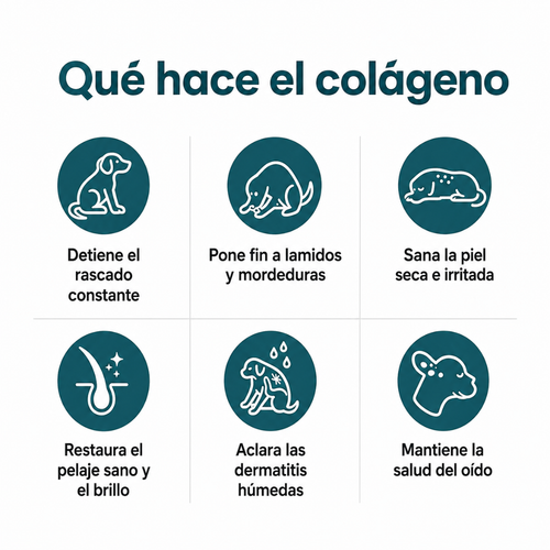 Colágeno Líquido Premium