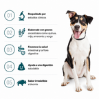Bocados Probióticos BiocarePet