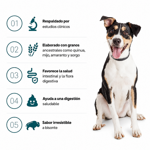 Bocados Probióticos BiocarePet