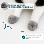 Cesta instinto rascado para gatos