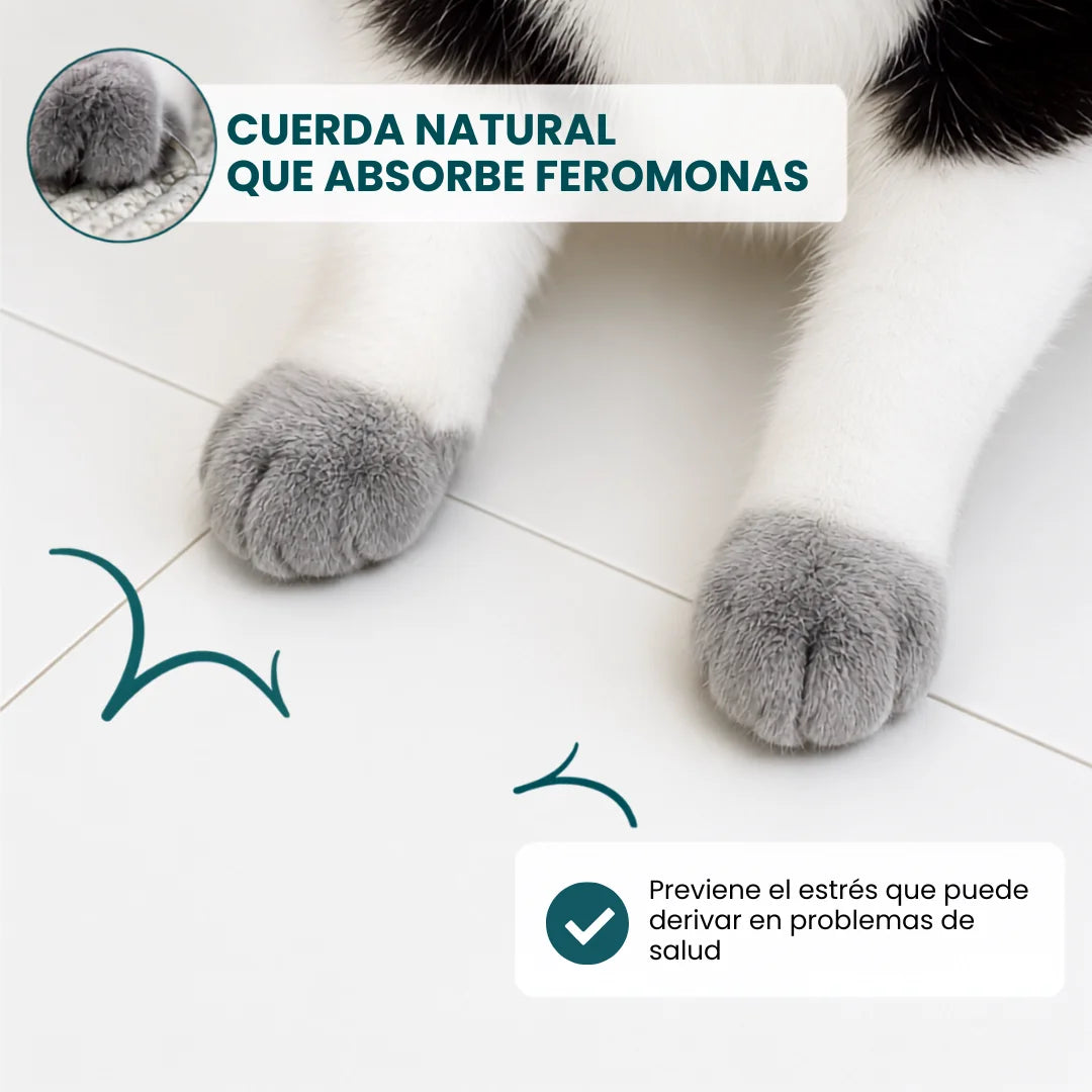 Cesta instinto rascado para gatos