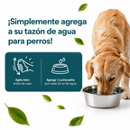 Liquido dental perritos