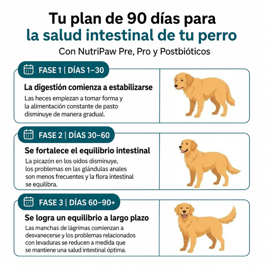 Bocados Probióticos BiocarePet