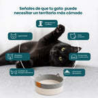 Cesta instinto rascado para gatos