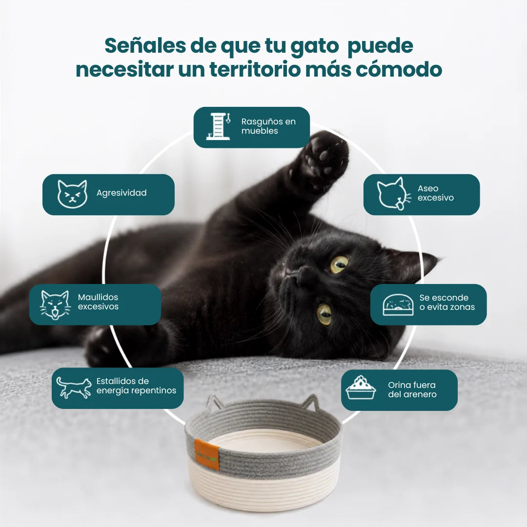 Cesta instinto rascado para gatos