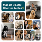 Liquido dental perritos