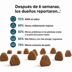 Bocados Probióticos BiocarePet