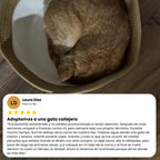 Natural Nest